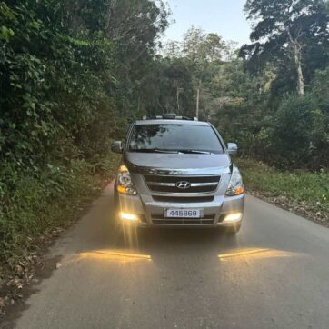 7-Passenger Hyundai Starex with Driver