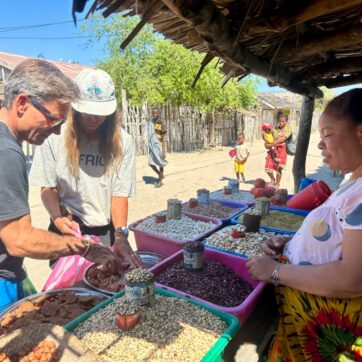 Dive into Malagasy Culture: Andavadoaka Immersion