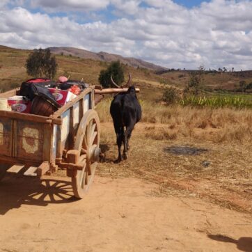 Overnight Immersive Experience with the Zazamanga