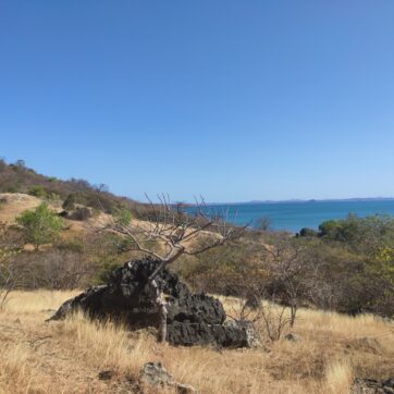 14-Day Tour towards the North Circuit of Madagascar