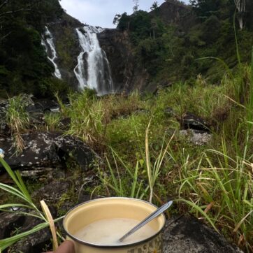 2-Day Adventure Hike to Discover Secrets of the Malagasy Forest