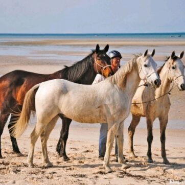 Horseback Riding on the Beach