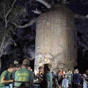 13-Day Road Trip: Explore Madagascar's Iconic Route