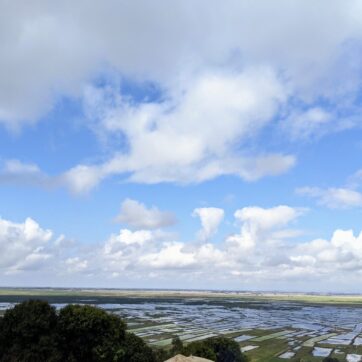 4-Days to Discover Beautiful Lake Alaotra