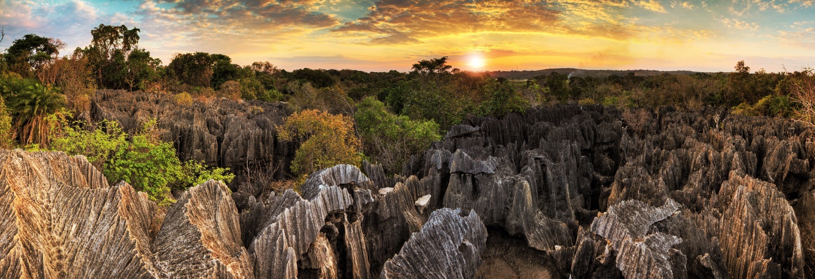 11-Days of Tsiribihina River, Tsingy & Baobabs – From River Dreams to Baobab Sunsets and Tsingy