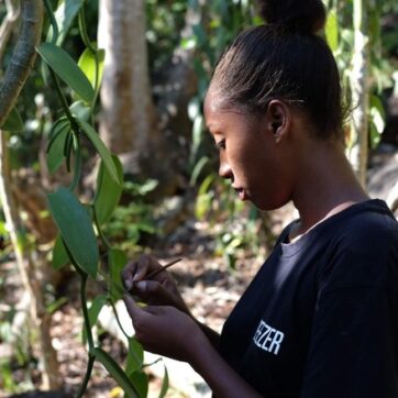 Make a Local Snack: Banana with Coconut Milk & Vanilla