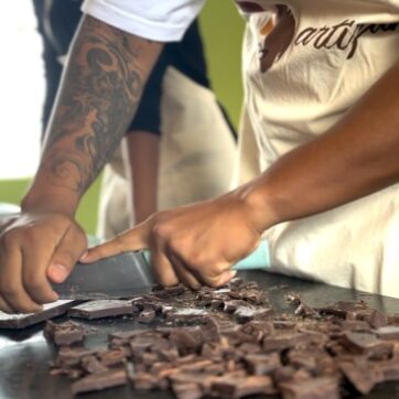 Chocolate Making: From Cocoa Bean to Sweet Delight