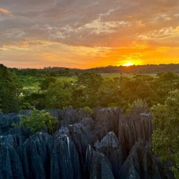 8-Days to Discover the Views from the Tsingy and More