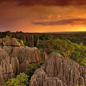 4-Day Grand Tsingy Ultimate: Sunrise to Sunset & Nocturnal Secrets Challenge