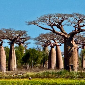 18-Day Grand Loop of the Southwest of the Red Island