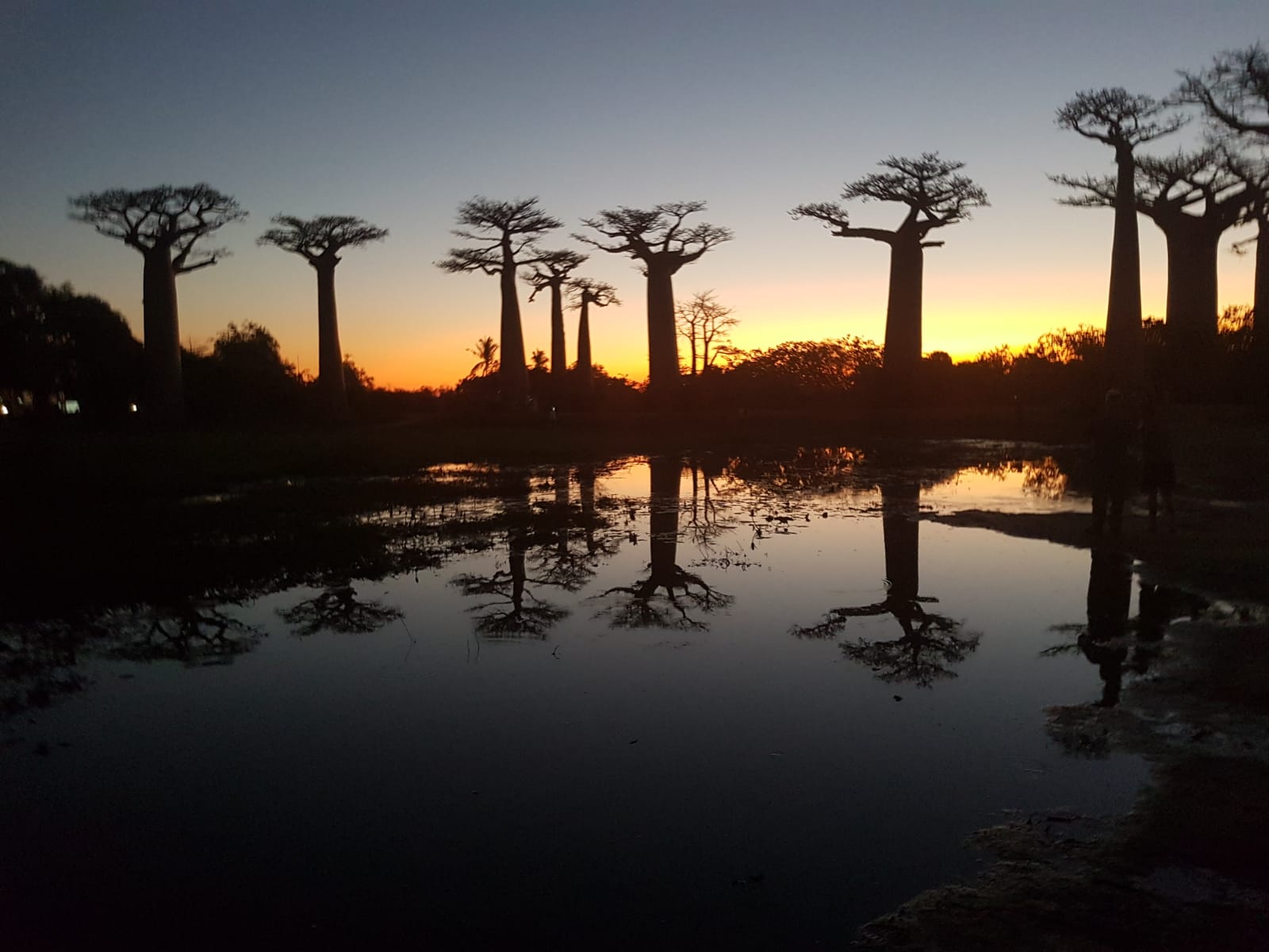 11-Days of Tsiribihina River, Tsingy & Baobabs – From River Dreams to Baobab Sunsets and Tsingy - Image 4