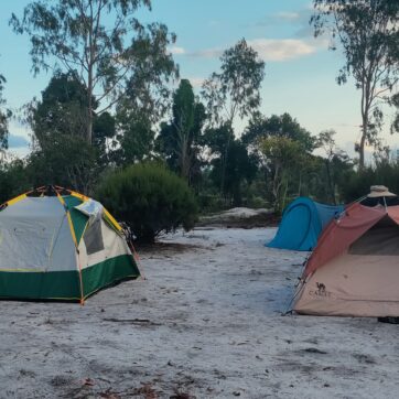 2-Days to Experience Anjavidy Garden